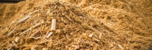 sawdust